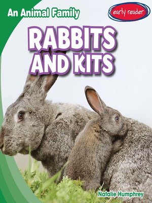 cover image of Rabbits and Kits